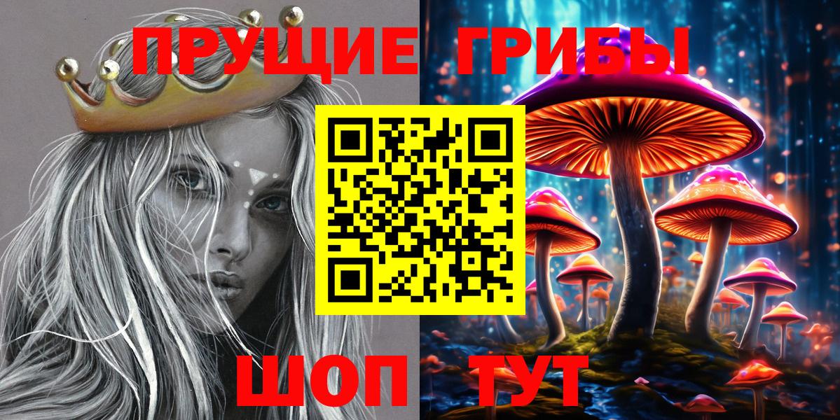Псилоцибиновые грибы Psilocybe  Вход с VPN  Галлюциногенные грибы прущие грибы  Ишимбай 